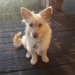 Meet your Posher, Heidi